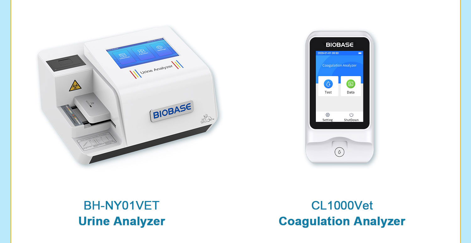 From Diagnostics to Care From Diagnostics to Care