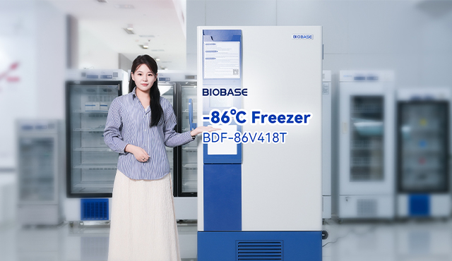Congélateur BIOBASE -86℃ BDF-86V418T — stockage fiable à très basse température pour les échantillons critiques
