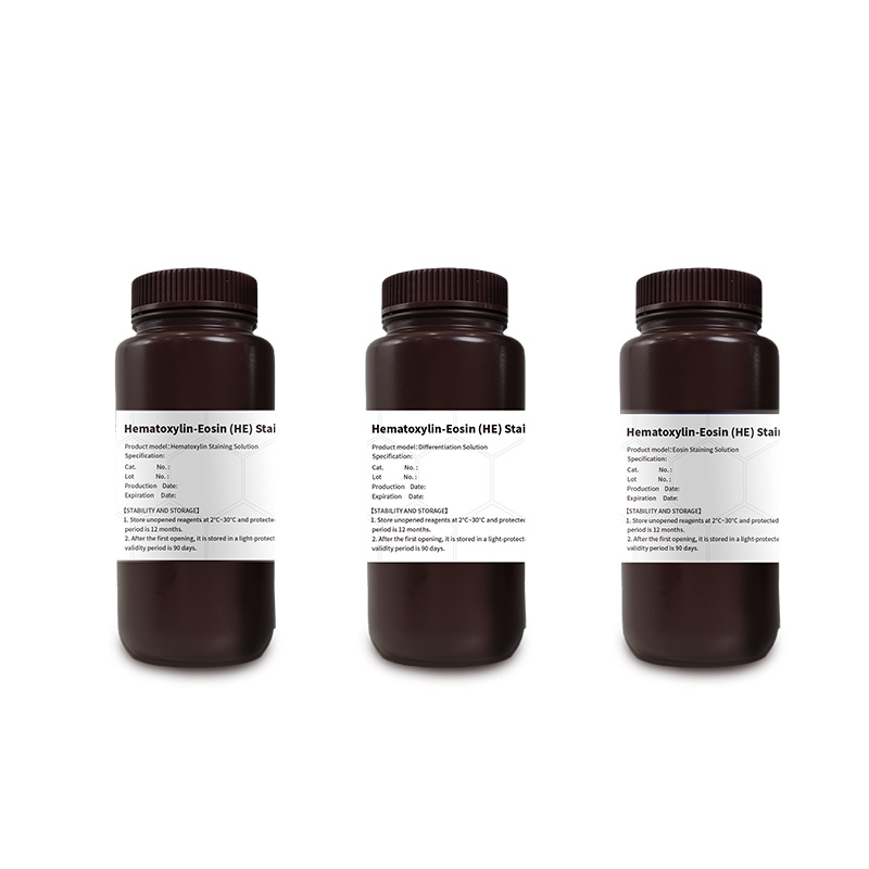 Hematoxylin Staining Solution