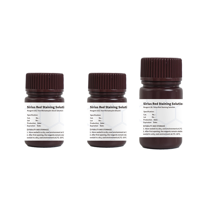 Sirius Red Staining Solution