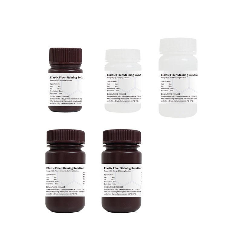 Elastic Fiber Staining Solution