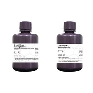 Crystal Violet Staining Solution
