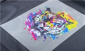 Direct to Film DTF Drucker und Wartung HOT SALE