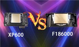 XP600 vs. DX5-Druckkopf, welcher ist Ihr Favorit?