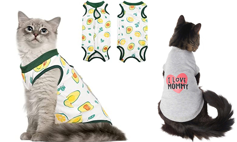 DTFプリンターで猫のTシャツをカスタマイズするには?