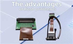 Was sind die Vorteile von Ricoh-Druckköpfen?