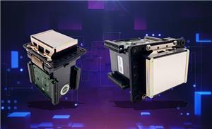 Why does the Roland printing machine often clean the print head?