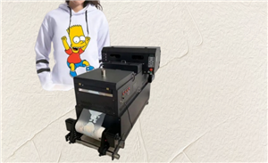 A3 Dual-Druckkopf-Rolle-zu-Rolle-Digitaldrucker und Transferpresse