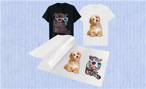 Grundlegendes zu DTF-Filmbögen im A3/A4-Format