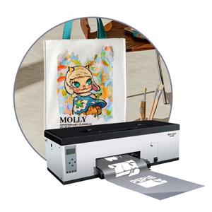 Neuer 30-cm-Metall-DTF-Drucker veröffentlicht