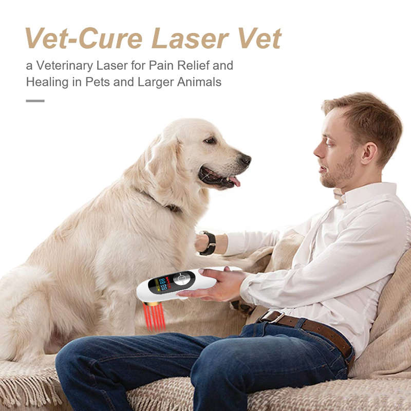 Veterinary Laser Therapy Device