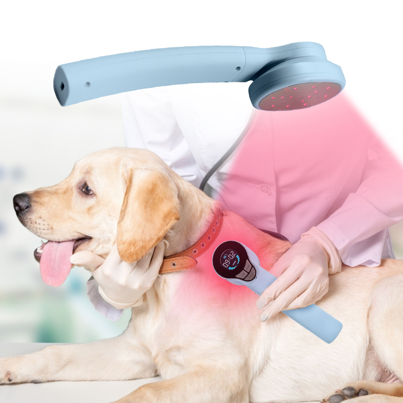 Dispositivo de terapia de láser frío con alivio de pan de luz infrarroja para perros