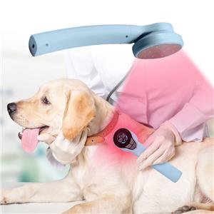 Dispositivo per terapia laser a freddo a luce infrarossa con pan sollievo per cani