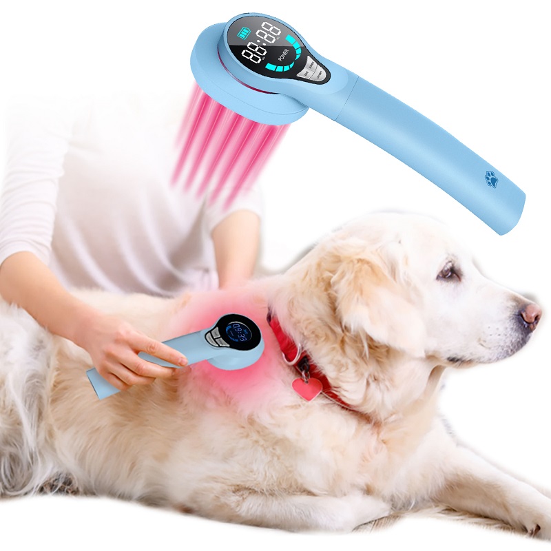 Terapia láser animal de bajo nivel para el tratamiento de la artritis de mascotas