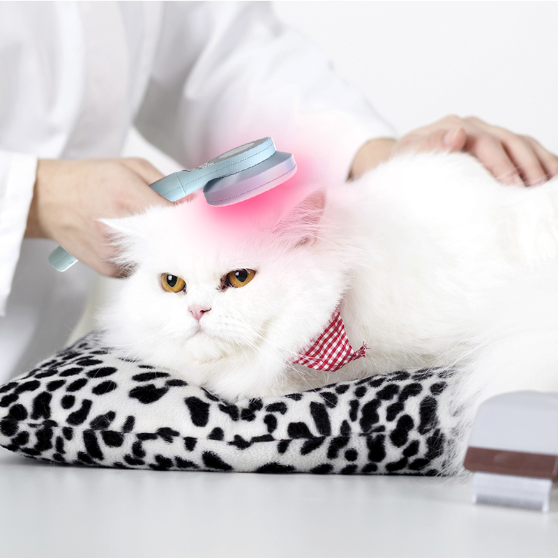 Handheld 808nm Lllt Cold Laser Treatment For Animals