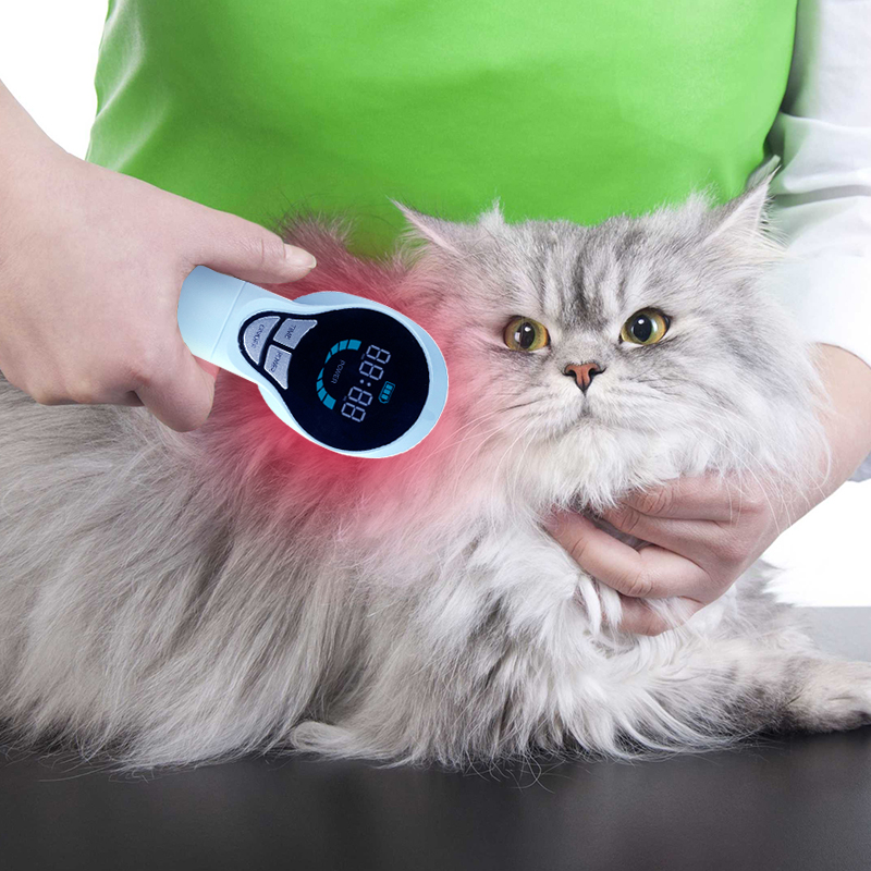 Dispositivo per terapia laser a freddo per uso veterinario Pet Lllt