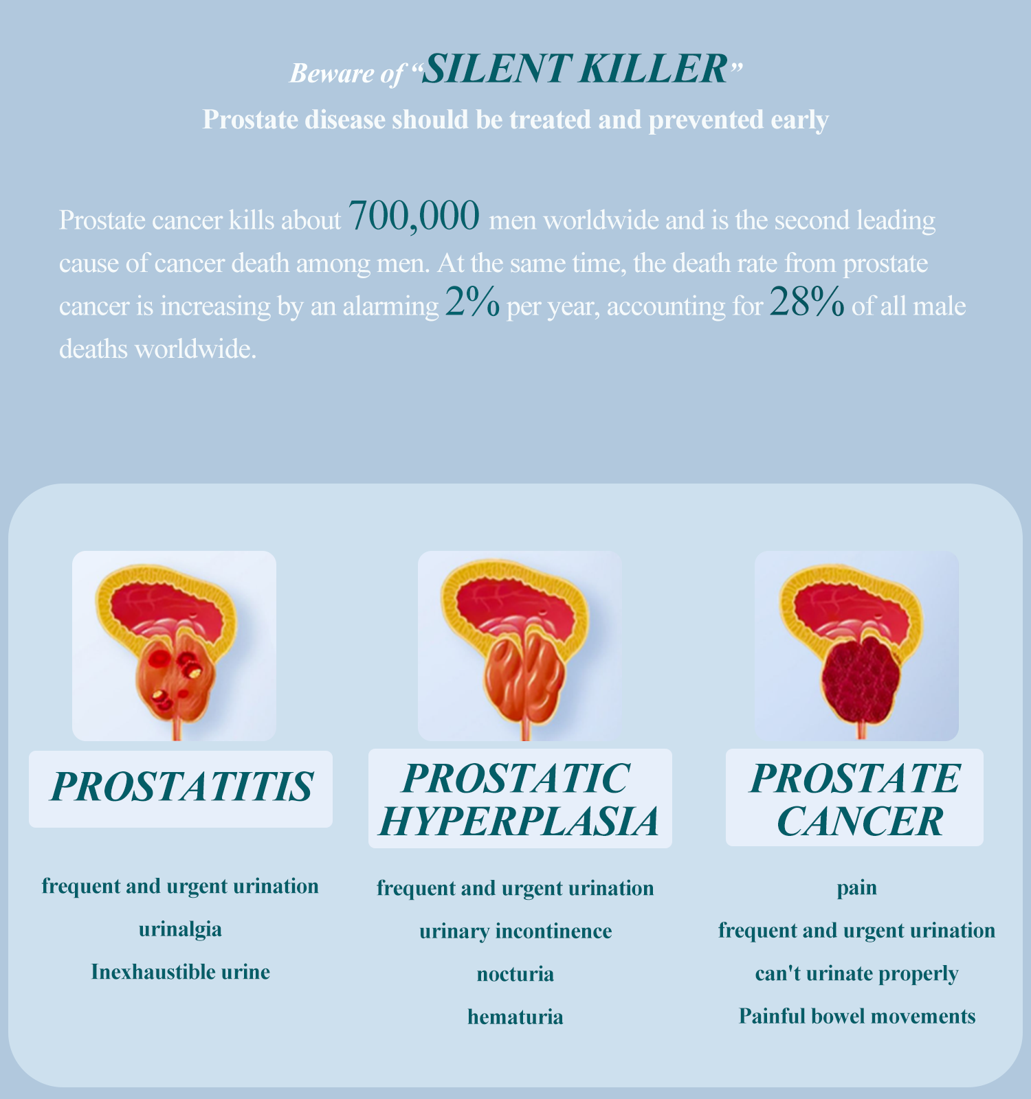 Acquista Dispositivo non invasivo per il trattamento della prostata con laser freddo,Dispositivo non invasivo per il trattamento della prostata con laser freddo prezzi,Dispositivo non invasivo per il trattamento della prostata con laser freddo marche,Dispositivo non invasivo per il trattamento della prostata con laser freddo Produttori,Dispositivo non invasivo per il trattamento della prostata con laser freddo Citazioni,Dispositivo non invasivo per il trattamento della prostata con laser freddo  l'azienda,