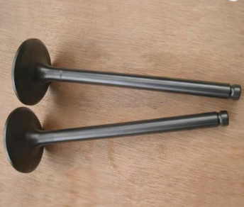 INTAKE AND EXHAUST VALVE