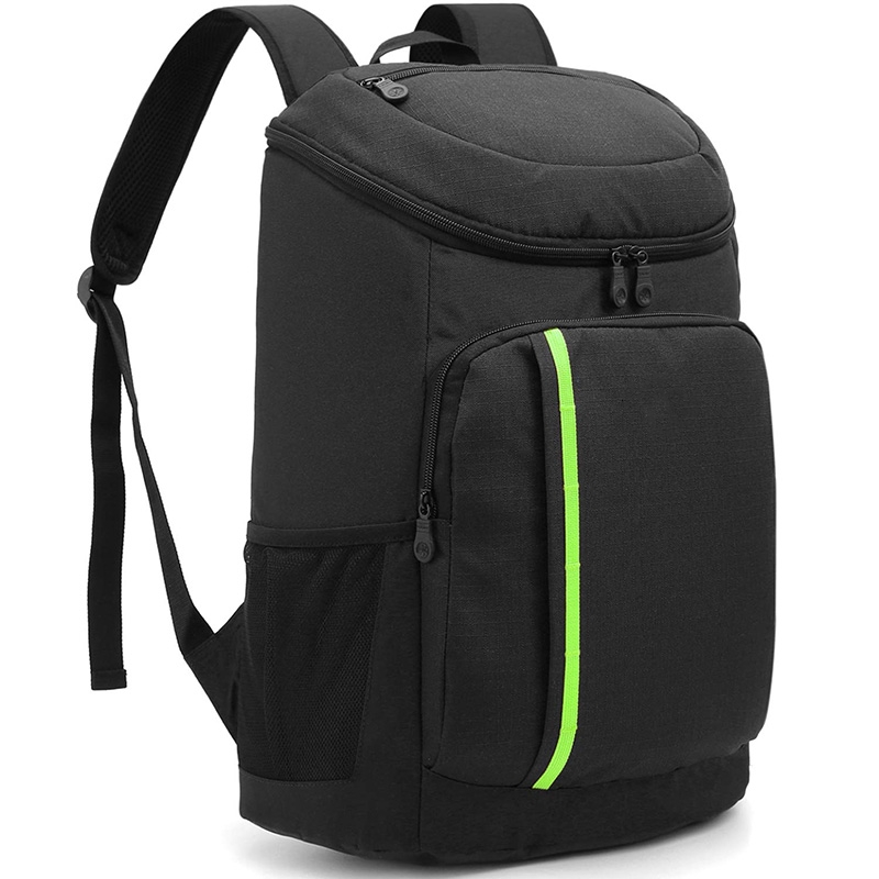Small Snack Cooler Picnic Backpack Bag
