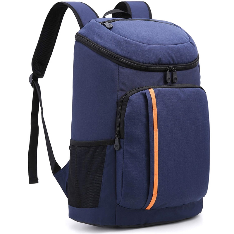 Small Snack Cooler Picnic Backpack Bag