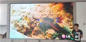 LCD-Spleißbildschirm Unbegrenzte Aussichten