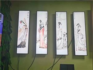 What are the applications of the LCD stretched bar screen