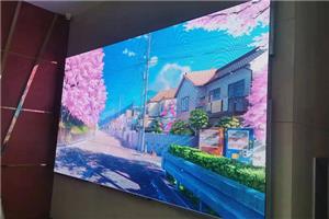 Die Entwicklungen des LCD-Werbedisplays
