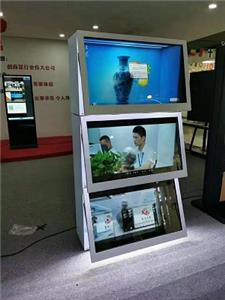 Haben Sie schon einmal einen smarten Schrank mit transparentem Display gesehen?(1)