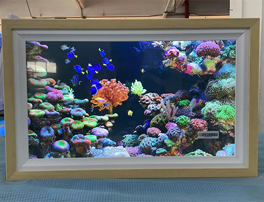 Caratteristiche della macchina pubblicitaria per cornici fotografiche