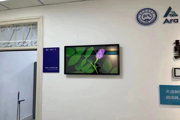 Области применения и преимущества настенных рекламных машин