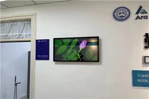 Domaines d'application et avantages des machines publicitaires murales