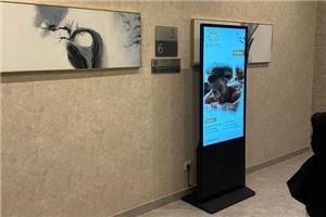 Kundenfeedback: Wie mich die LCD Floor Stand 4K-Werbemaschine in Spas verliebt hat