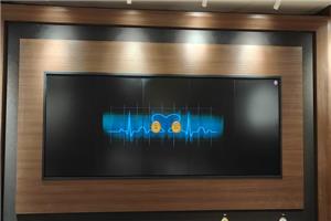 LCD video duvarlarının popüler olmasının nedenlerinin analizi