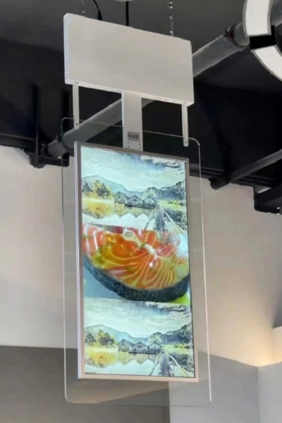 ceiling-mounted transparent double-sided screen