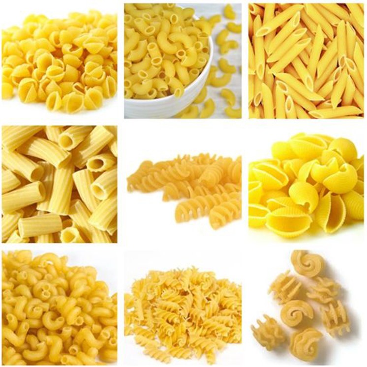 macaroni pasta production line