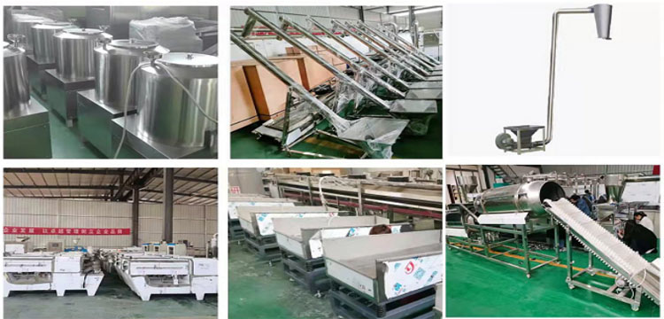 fish feed processing machines