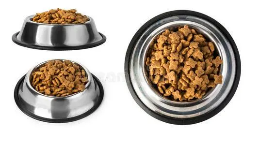 Pet food production line dog food making machine cat food processing line