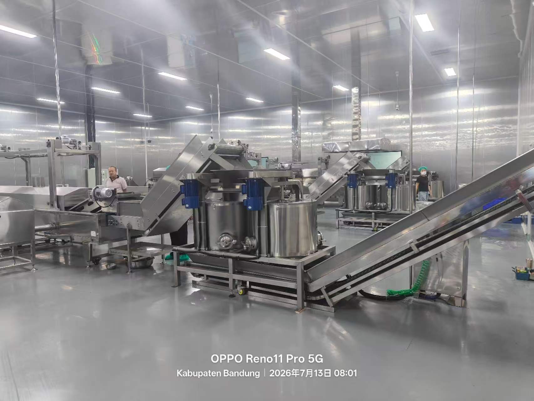PUFF SNACKS FOOD / CORN FLAKES MACHINERY / Customization