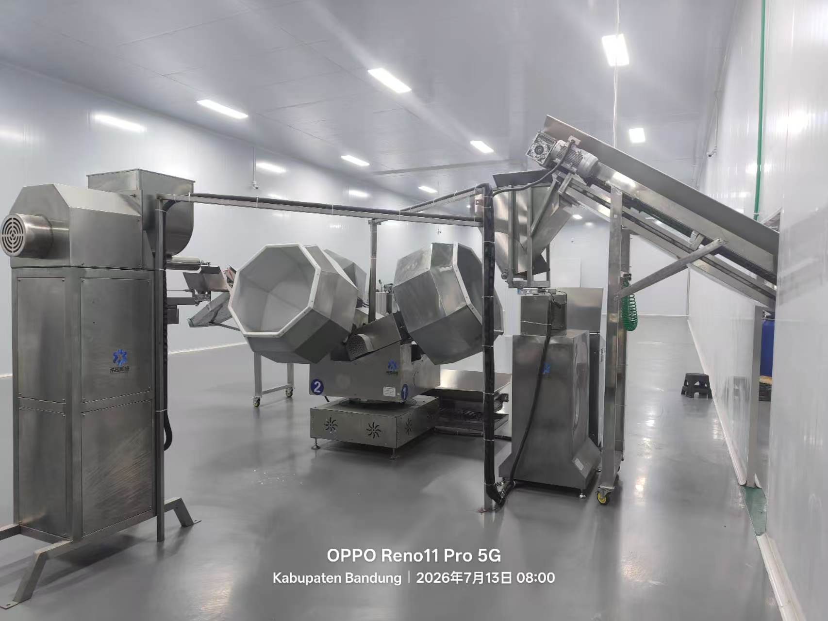 PUFF SNACKS FOOD / CORN FLAKES MACHINERY / Customization