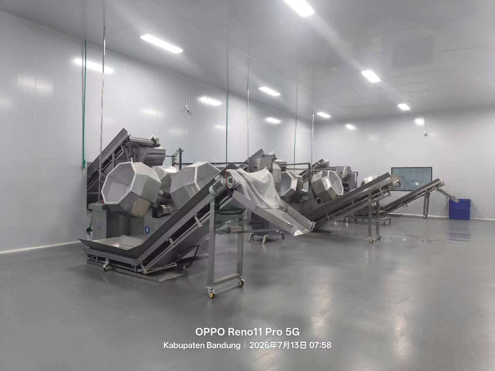 PUFF SNACKS FOOD / CORN FLAKES MACHINERY / Customization