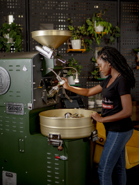 เครื่องคั่วกาแฟตัวอย่าง Genio 3 กก. สำหรับขาย