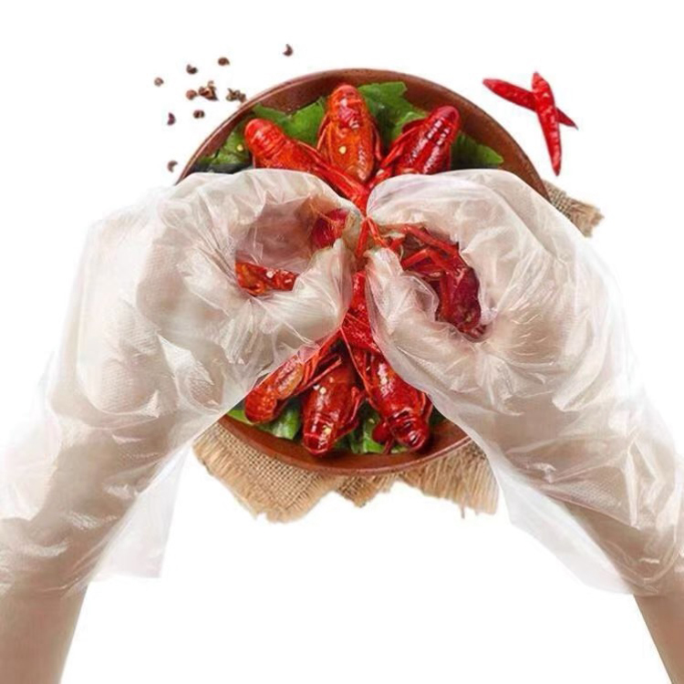 Food Preparation Plastic Gloves PE Disposable