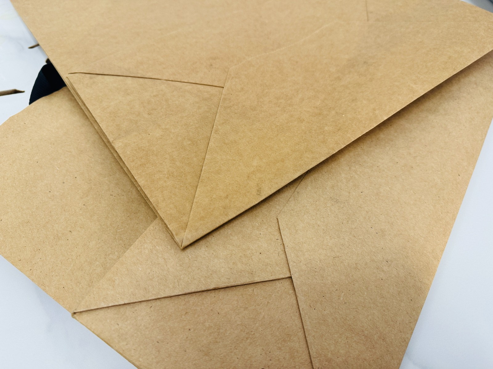 takeout paper bag
