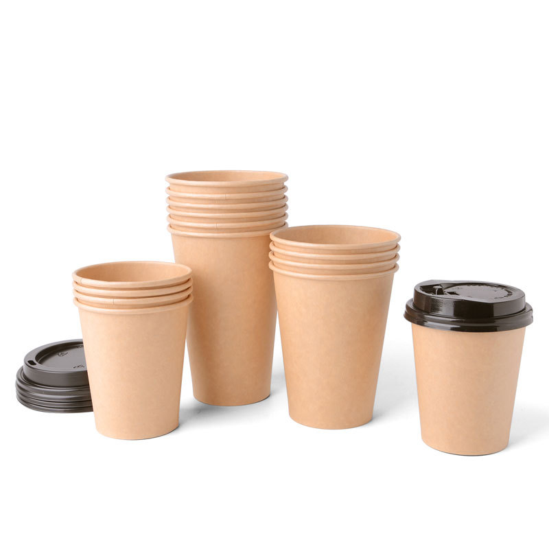biodegradable paper cup