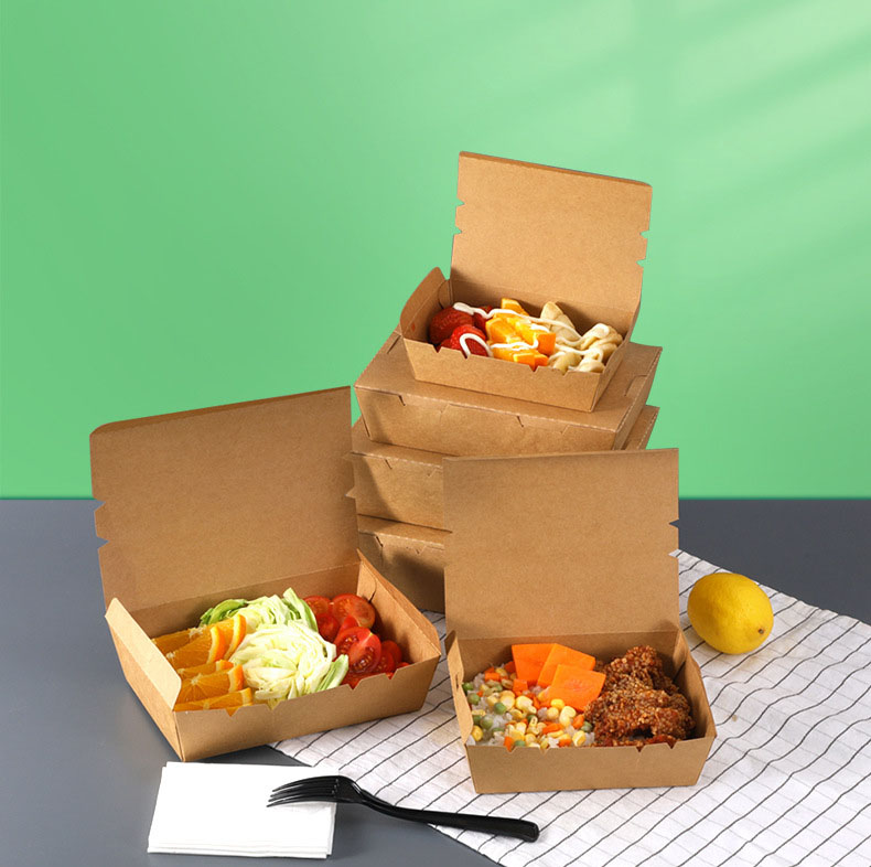 disposable bento box