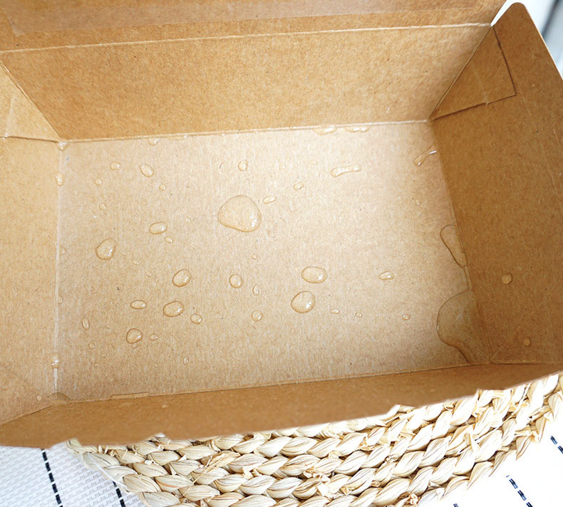 biodegradable disposable food container