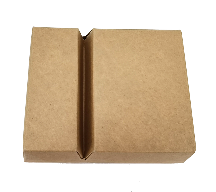 Recipiente descartável biodegradável para alimentos com divisória