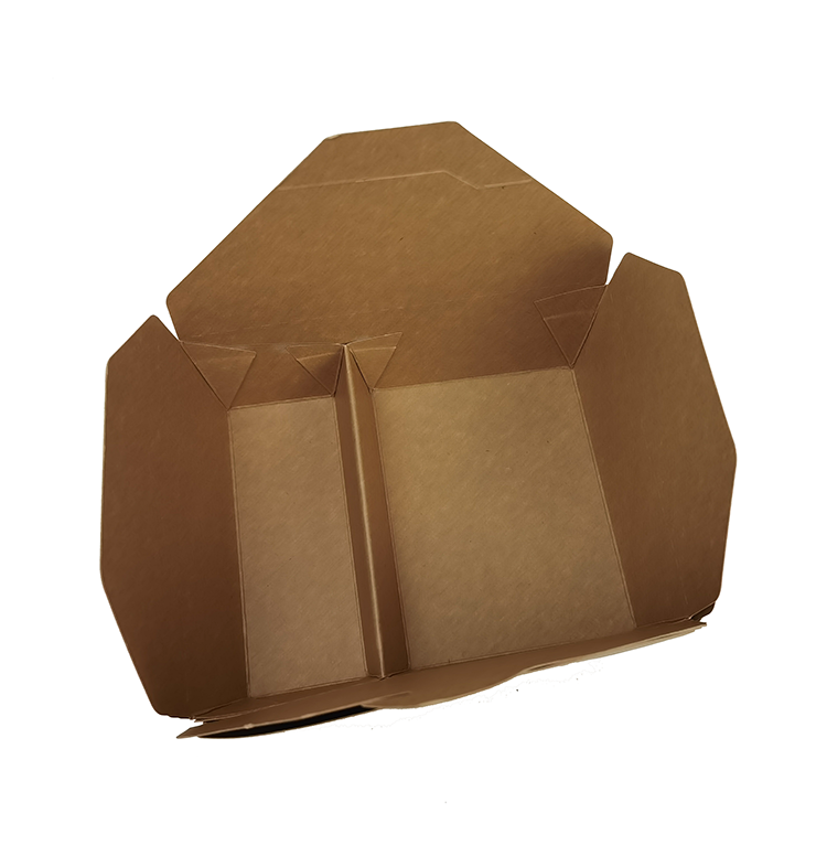 disposable container