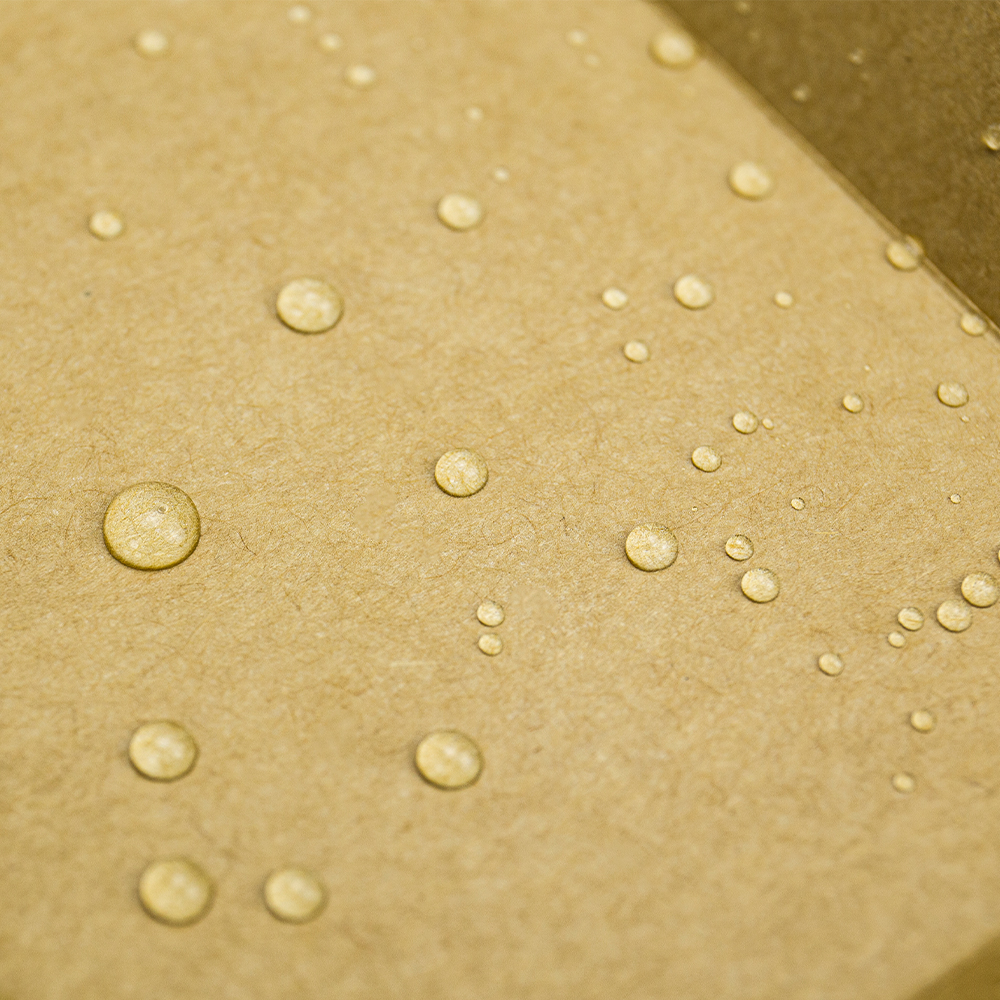 Le scatole di carta per l'asporto sono sicure?