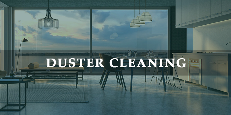 household cleaning duster